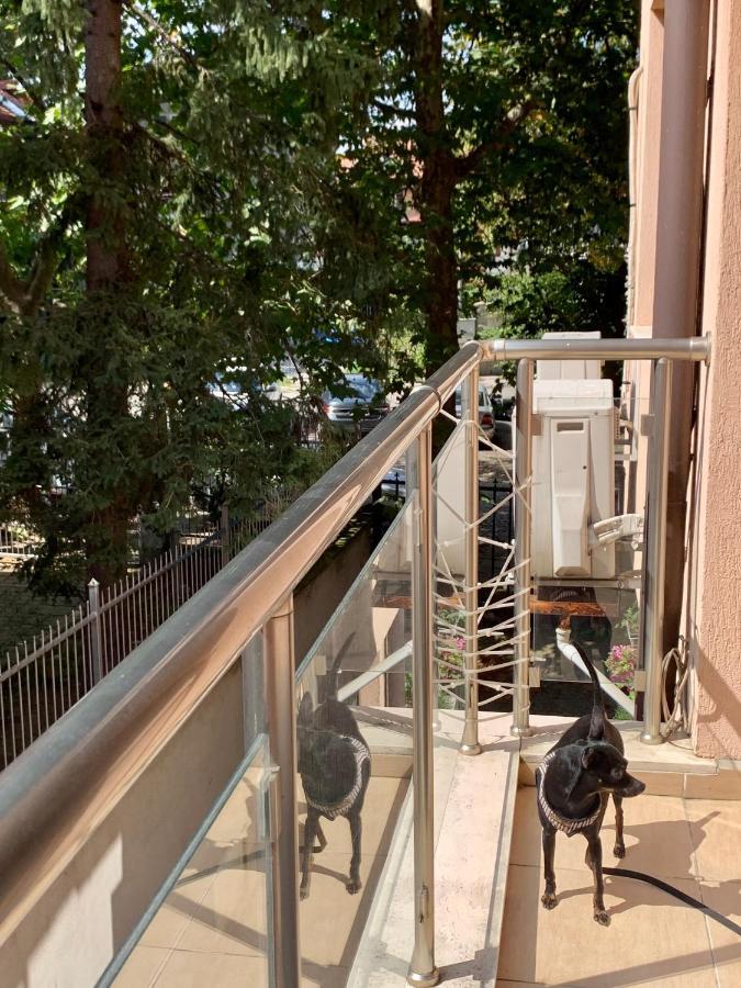 Lovely Sofia Apartment Katerina With Free Parking Экстерьер фото